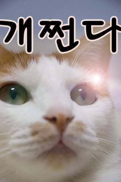 생활의 지혜~