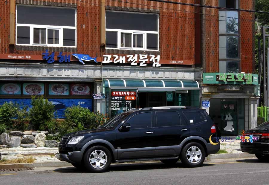 고래밥상 이미지