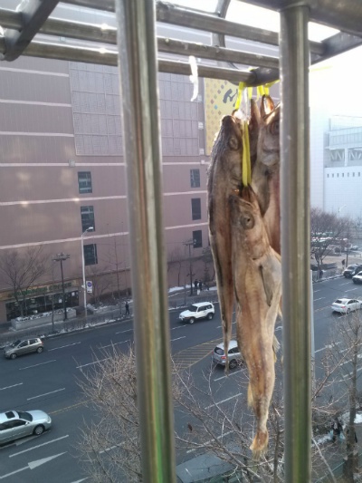 황태 덕장 흉내내기