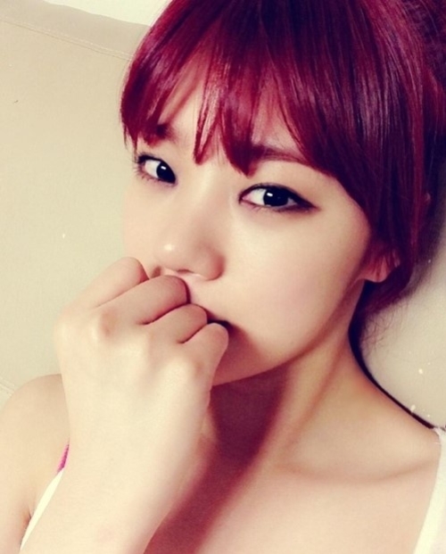 리지헤어 이미지