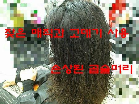 곱슬머리 이미지