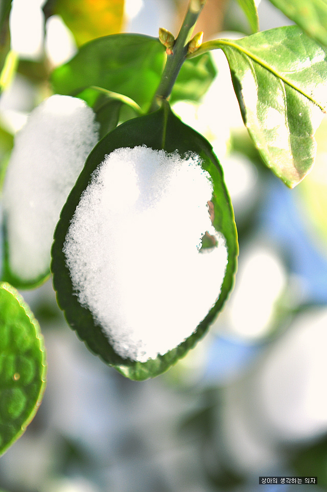 ‘모든 남성’이 죽을 때 후회하는 한 가지는?- <죽을 때 가장 후회하는 다섯가지>