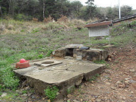 교동숲 이미지