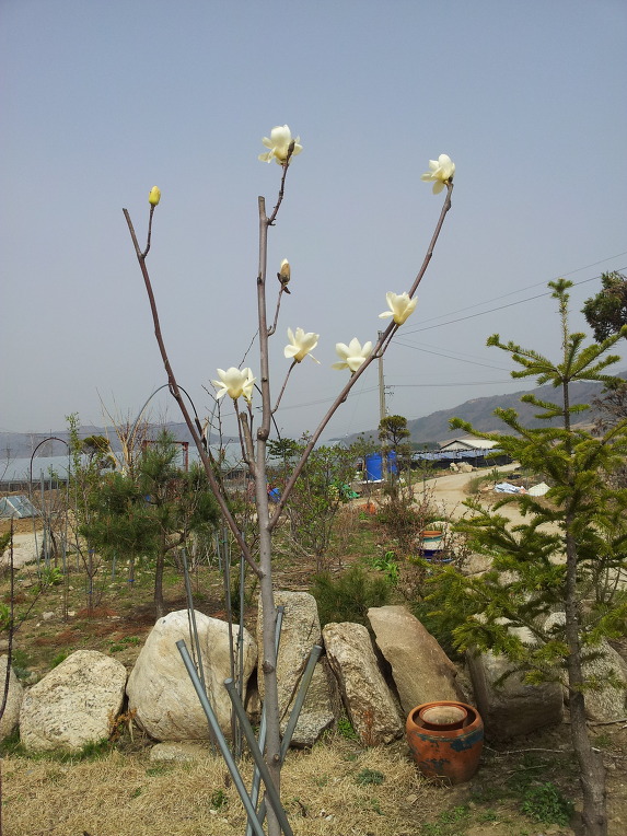펀치볼 돌산령 농원의 화단