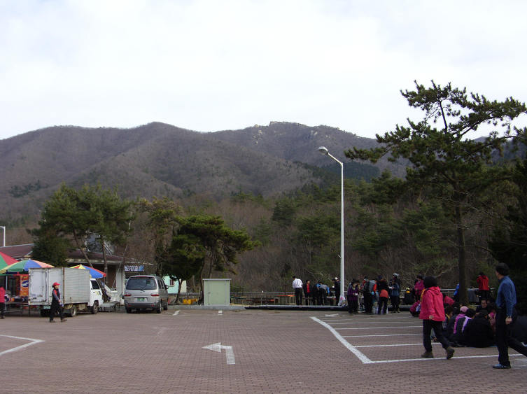 금산칼국수 이미지