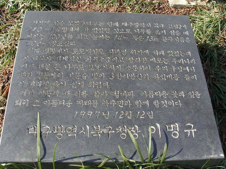 대불공원 이미지