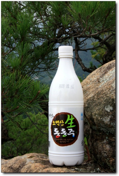 10,000장의 사진, 12,000km의 여정을 마치고 