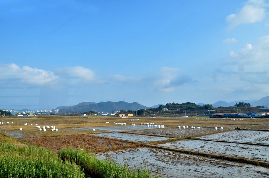동판지->주남저수지 풍경탐방 