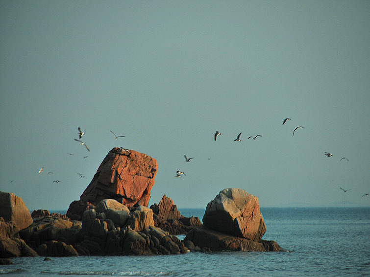 푸른 파도 이야기