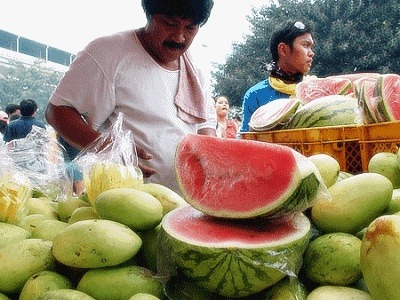 신맛그린 이미지