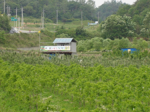 라인농원 이미지