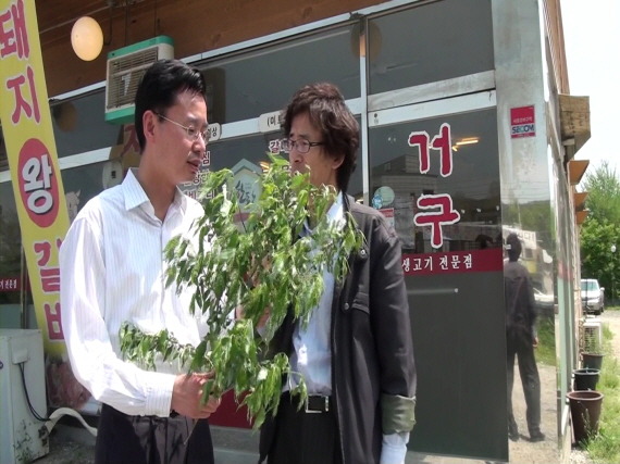 버드나무 식당 이미지