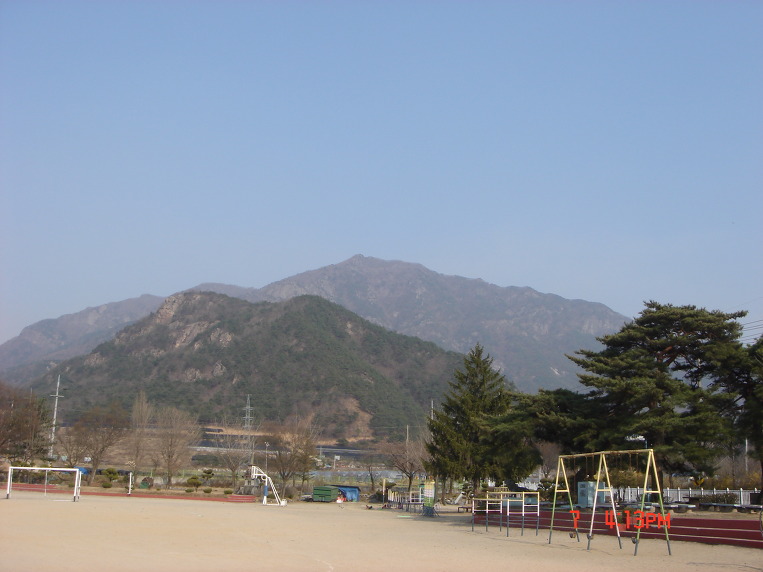 장룡 이미지
