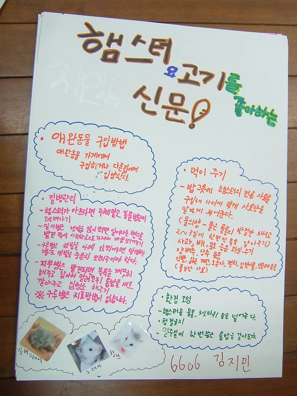 6학년 실과-- 애완동물 기르기 (1)