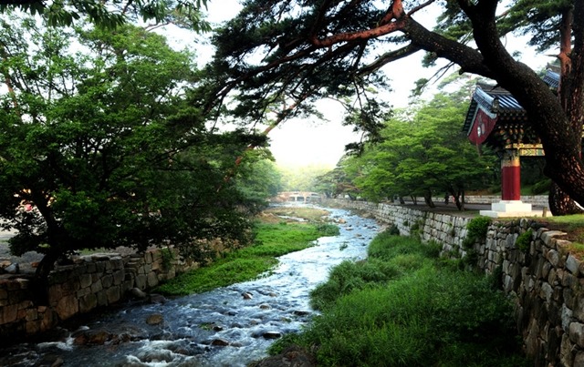 수경스님-부처님 오신날 목 놓아 통곡하며