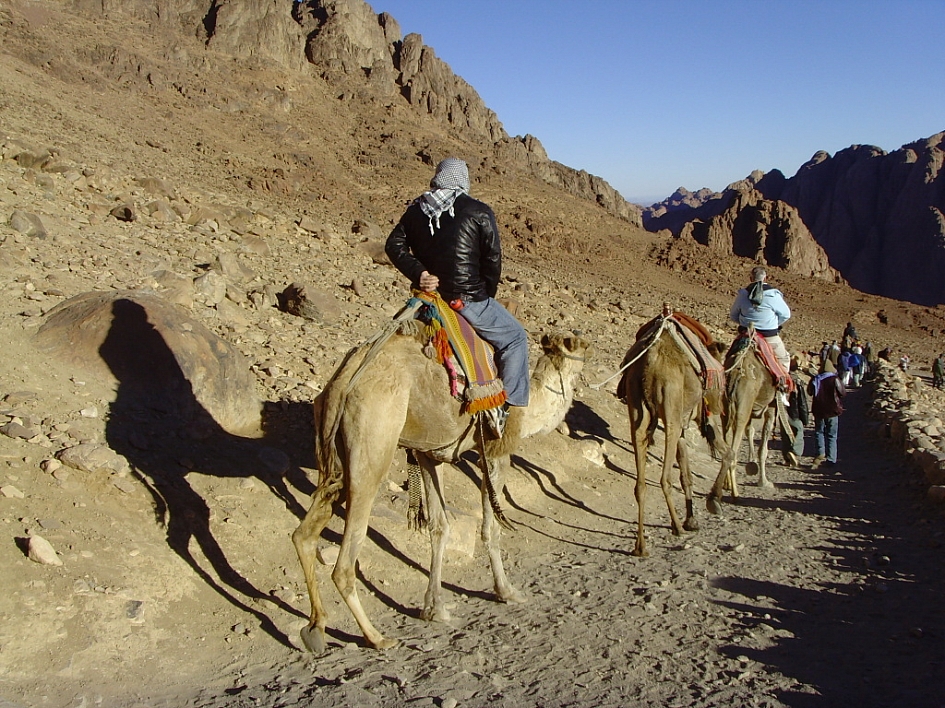 모세가 십계명을 받았다는 하나님의 성산(聖山)인 시내산 일출 / 이집트(20080302)
