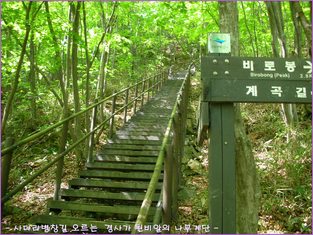 원주  치악산(1288M) 종주산행