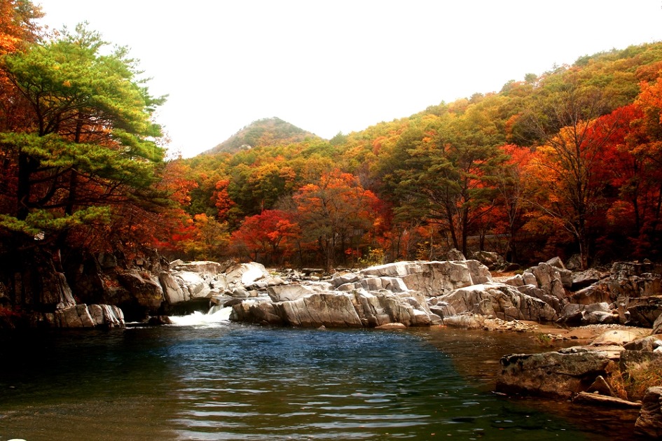 11월 4일(일요일) 무주구천동 단풍계류