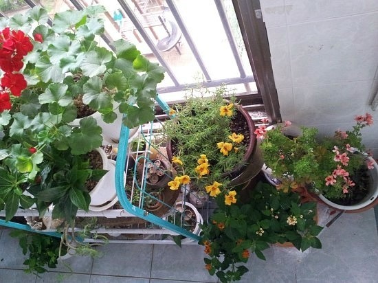 엄마방 이미지