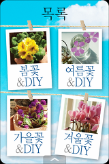 "꽃기린의 미니정원" 카드북으로 새롭게 출시되었습니다.