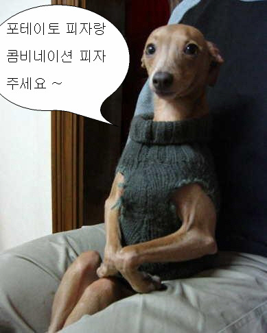 빨간모자 이미지