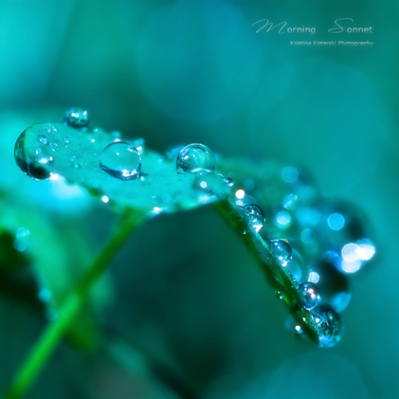 1442721C49B059391ACBC5