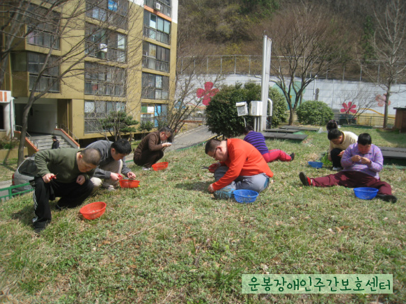 본문 첨부 이미지