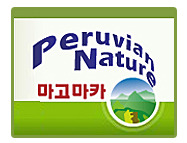 쿨캣 이미지
