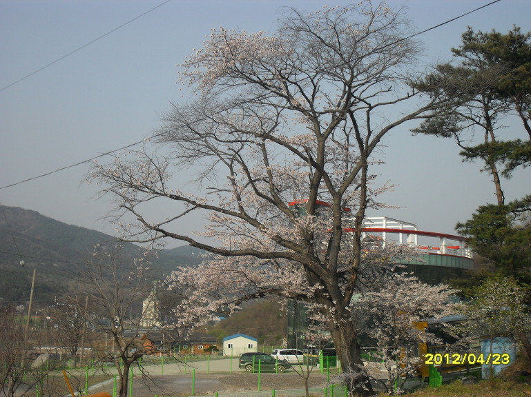 더블클릭을 하시면 이미지를 수정할 수 있습니다