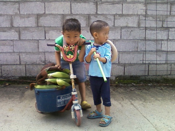 강원도 정선으로 떠나다