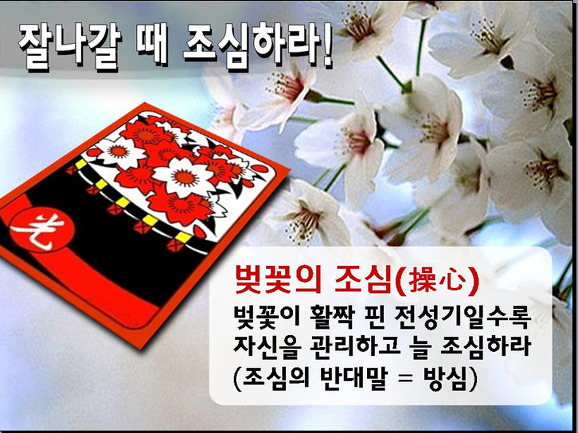 오광 이미지
