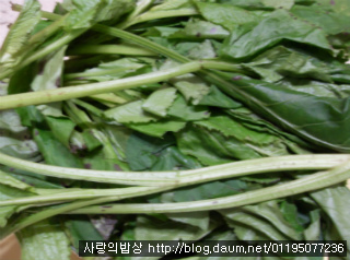 곤드레만드레~취할정도로 맛있는 곤드레전복돌솥밥