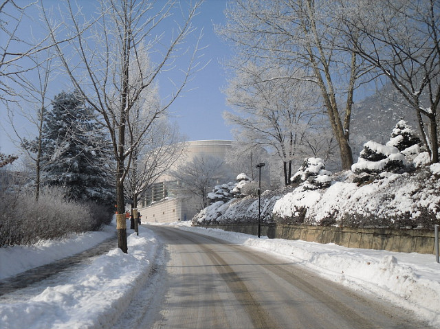 2010년 1월 6일 상고대가 활짝 핀 한림대학교