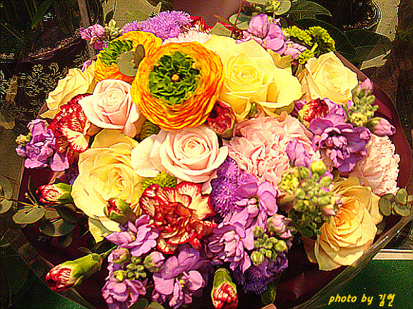 153457224BB3547E3DEE95