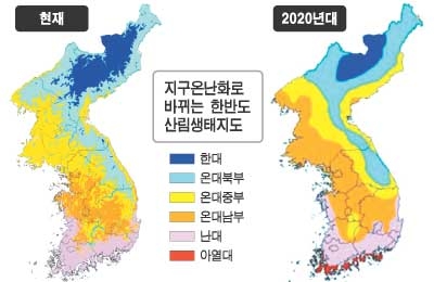 한반도서 소나무 사라질수도　