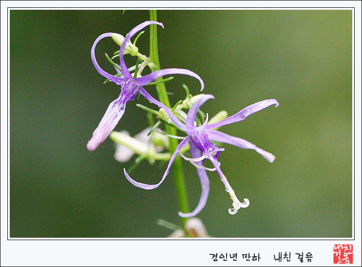 시원한바람 이미지