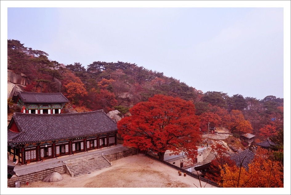 이정님의 멋진 추경