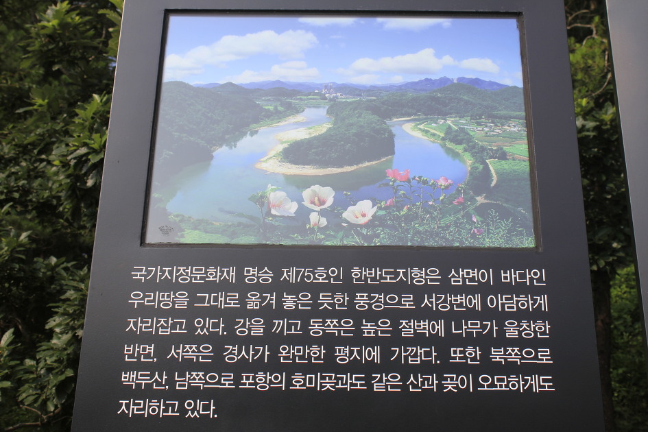 느티나무캠핑장 이미지