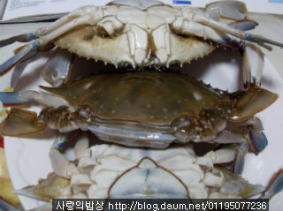 꽃게장 이미지