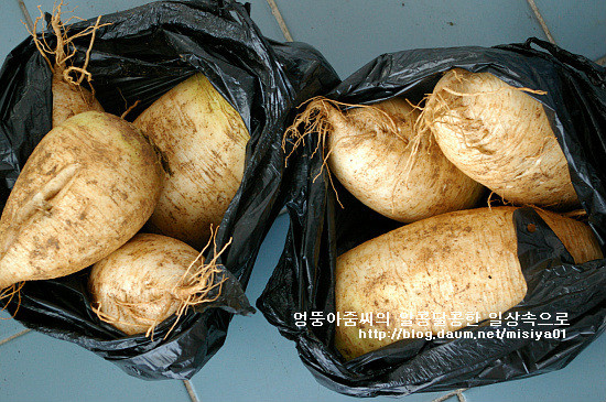 샬롬주유소 이미지