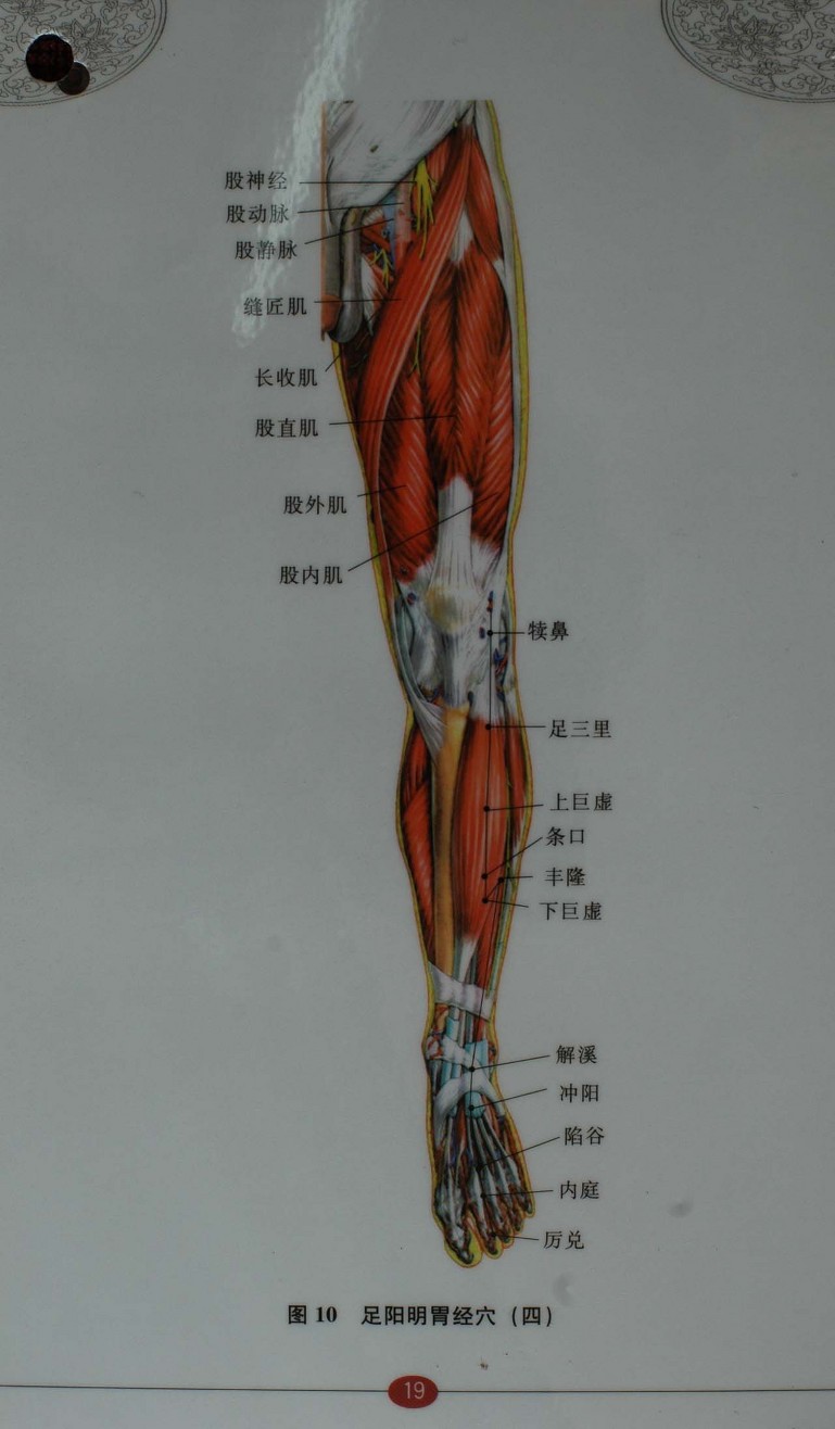  침구경혈자리