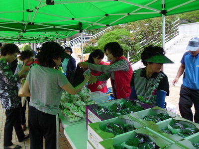 친환경대박 이미지
