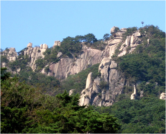 능선 소나무 숲 이미지