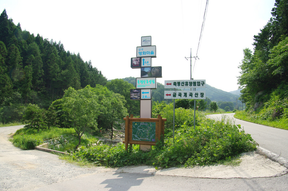 영화마을 이미지