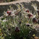  고향과 추억의 가곡 