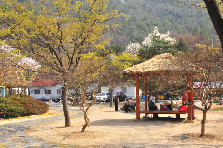 앞산공원 이미지
