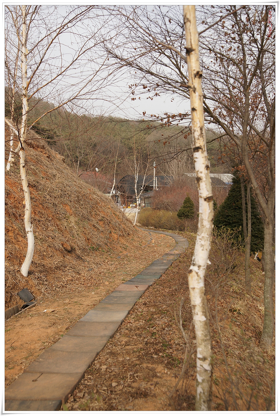 산들내 이미지