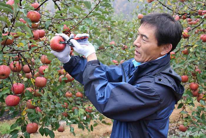 “충북은 이제 블로그로 통합니다”