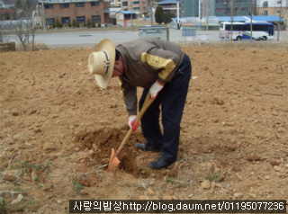 식목일필수! 인기만점 봄나들이 한식도시락으로 사랑받기>_