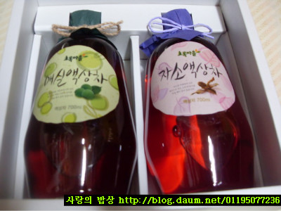 우리집에 놀러온 은선이!